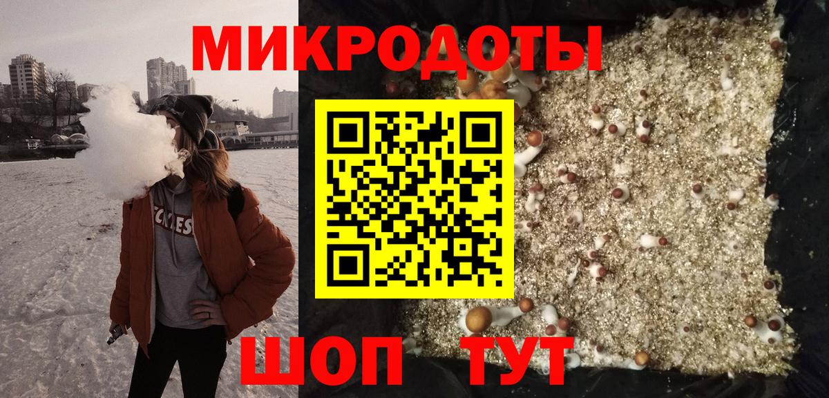 Псилоцибиновые грибы прущие грибы  Вход с VPN  Тамбов 